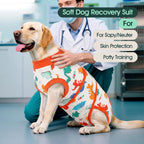 Side view of pet wearing Kuoser dinosaur recovery onesie