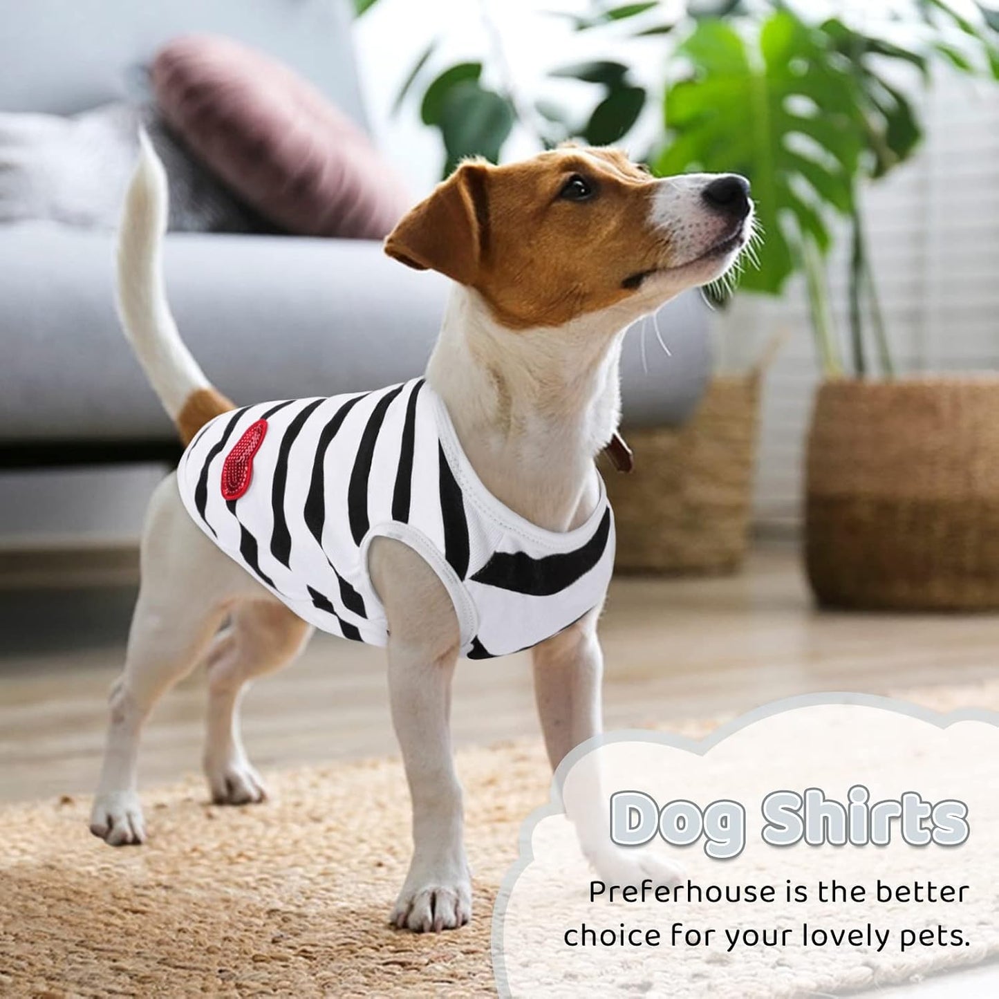 Preferhouse dog t-shirt for medium dogs on display