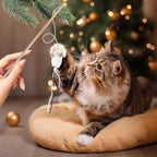 NOWFRESH Cat Wand Toy set packaging showing authentic USA imported pet products