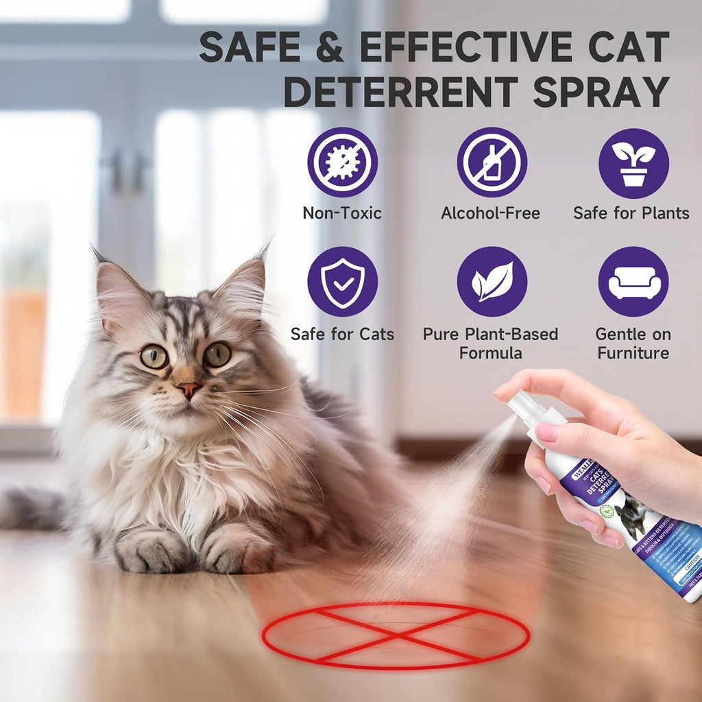 WEALLIN Cat Deterrent Spray, 6.76 FL Oz Natural Cat Repellent Spray Indoor & Outdoor, Anti-Scratch Training Aid for Furniture, Sofas, Rugs, Curtains, Plants - Non-Toxic, Alcohol-Free Formula - Image 5