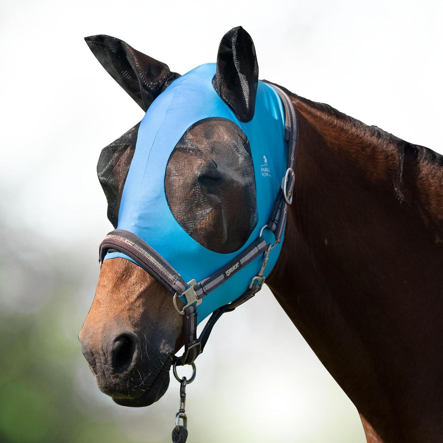 Rear view of horse wearing comfortable navy fly mask