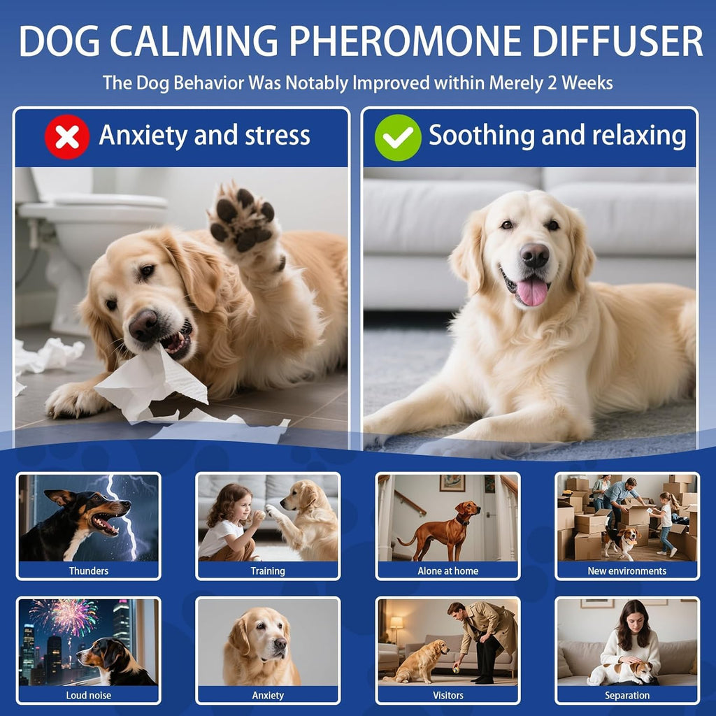 AutumnNest puppy behavioral training aid kit displaying all components clearly on a white background