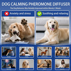 AutumnNest puppy behavioral training aid kit displaying all components clearly on a white background