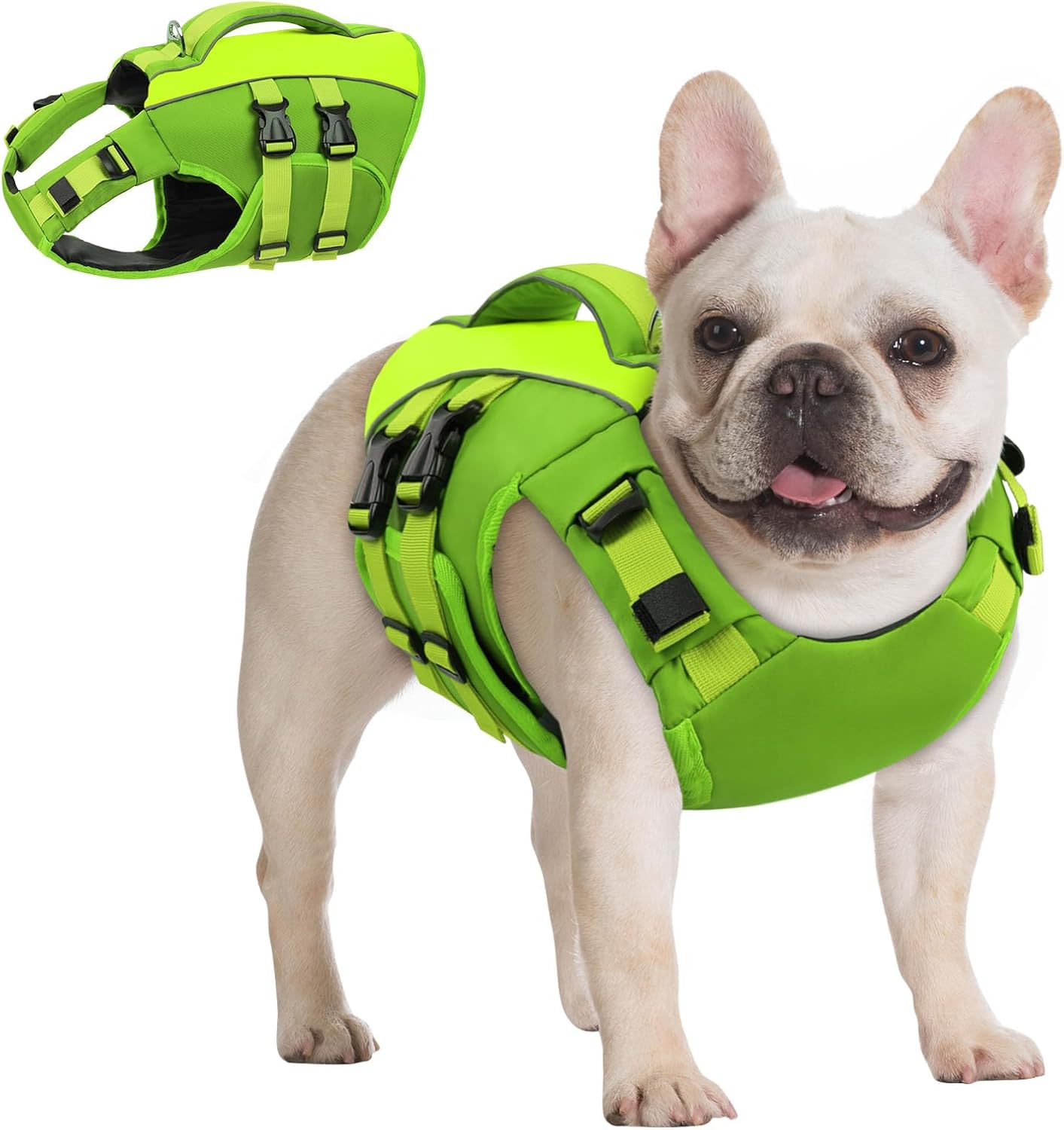 Queenmore small dog life jacket front view green high buoyancy safety vest