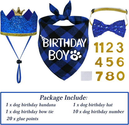 Adjustable blue and black plaid birthday boy dog bandana for small pets.