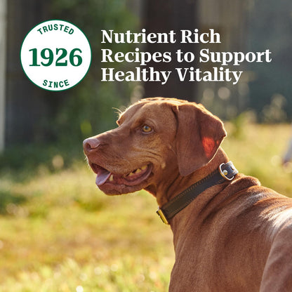 Nutro Hearty Stew Canned Wet Dog Food, Natural Grain Free Dog Food Wet Cuts in Gravy Chicken Beef Variety Pack, 12.5 oz Cans (12 Count, Pack of 1) - Image 12