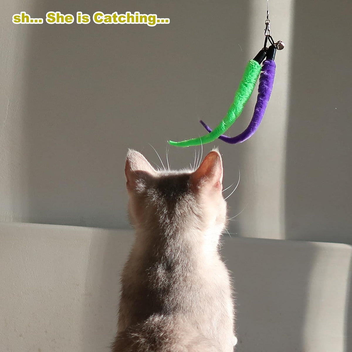 MeoHui interactive cat toy parts layout on flat surface