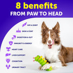 Back label of Vet Promise dog multivitamin showing ingredients