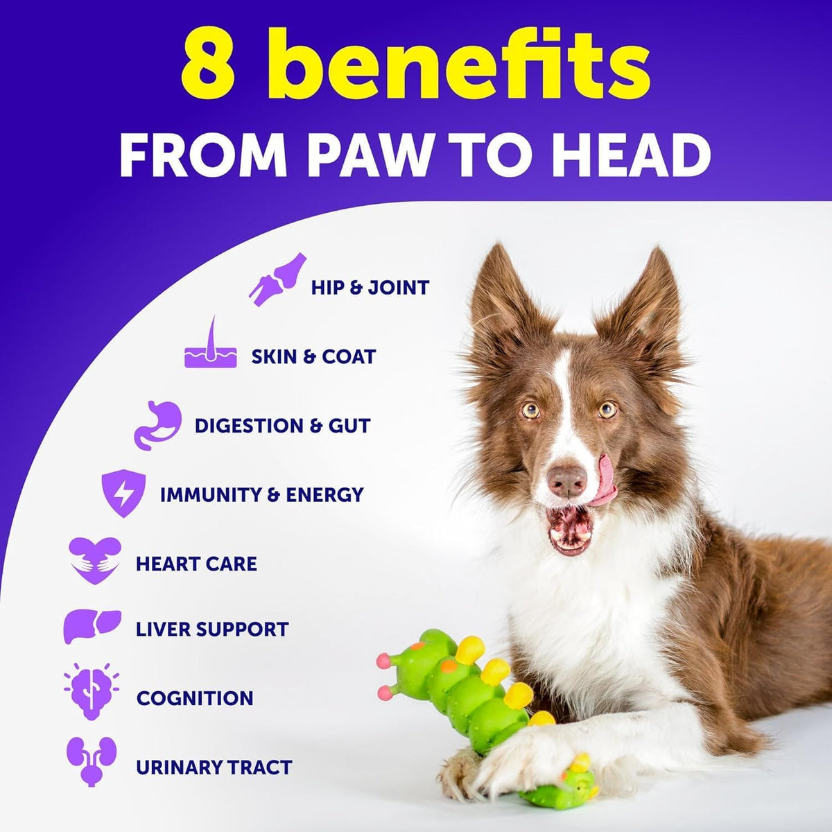 Back label of Vet Promise dog multivitamin showing ingredients