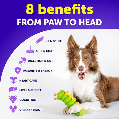 Back label of Vet Promise dog multivitamin showing ingredients