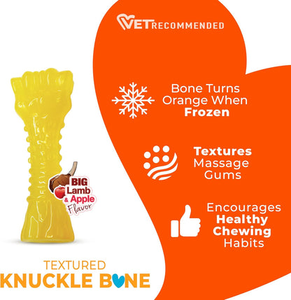 Textured nubs on Nylabone puppy chew toy for dental health