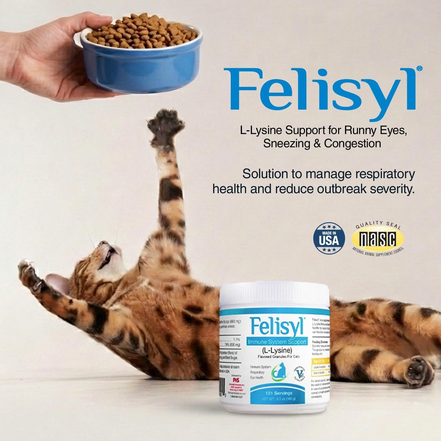 Felisyl L-Lysine cat immune supplement container showing ingredients and salmon flavor label