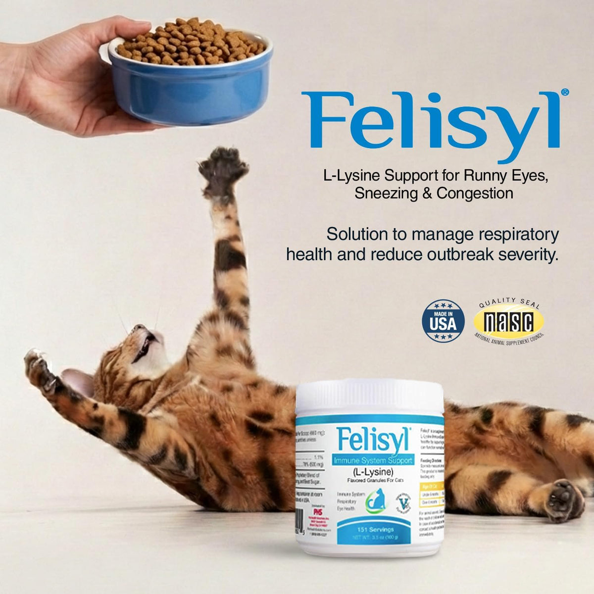 Felisyl L-Lysine cat immune supplement container showing ingredients and salmon flavor label