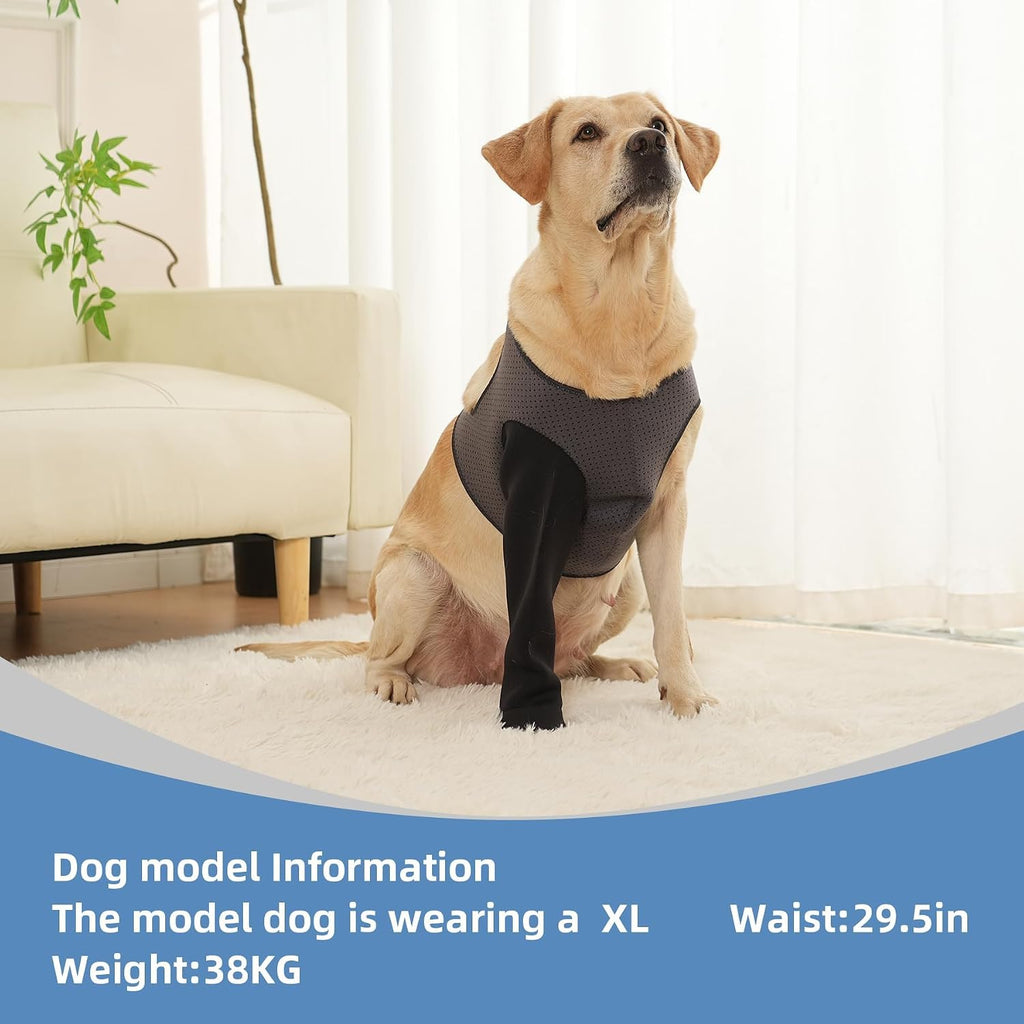 Durable 2.5mm thick fabric detail on dog recovery sock