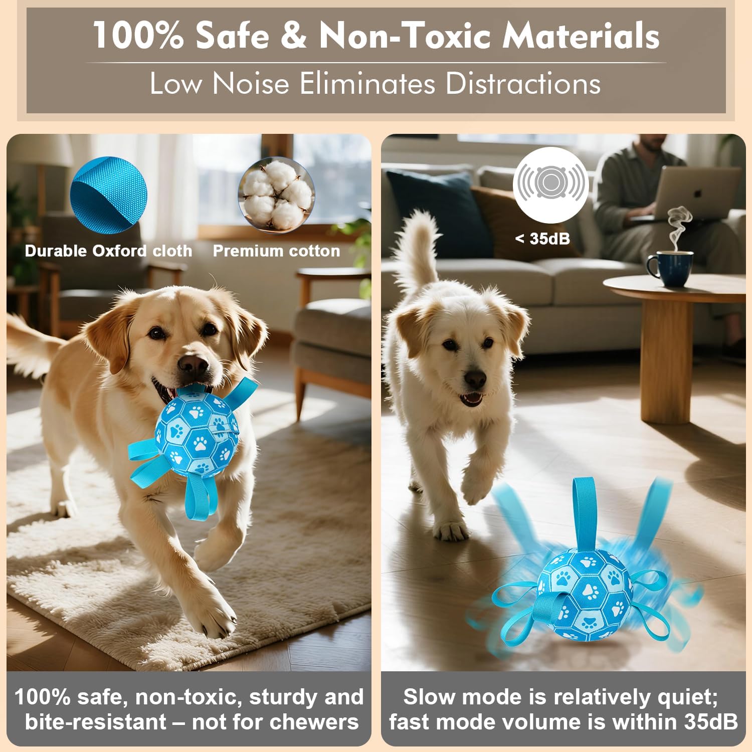 Small dog playing with blue interactive soccer ball toy