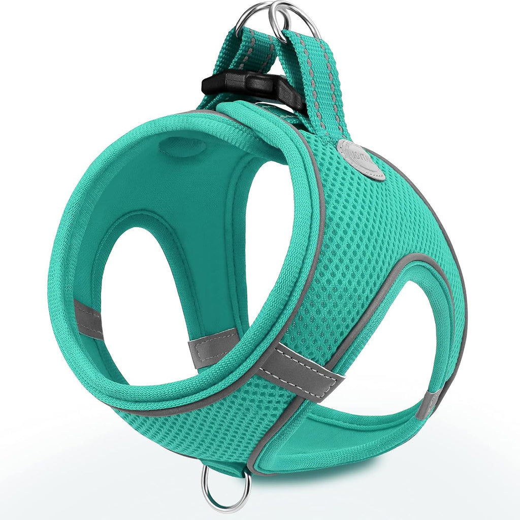 Joytale Small Dog Harness, Breathable Mesh Step-in Vest, Reflective Soft Padded Harnesses for Small and Medium Dogs, Black, M - Image 11