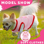 Cute pink puppy shirts for Chihuahua and Yorkie breeds