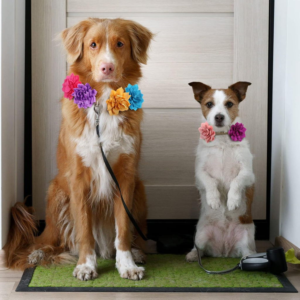Assorted multi color puppy and cat collar accessories pack