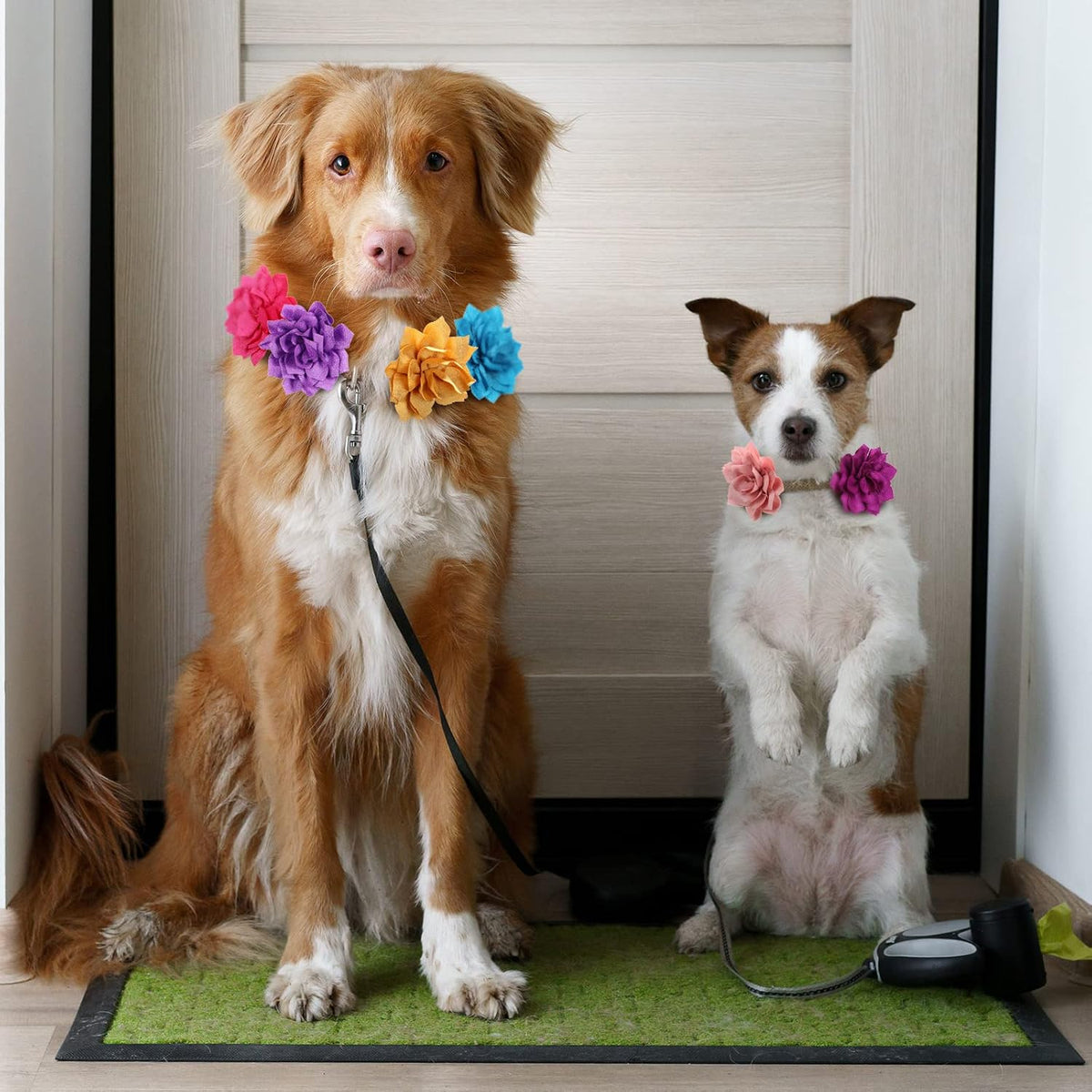 Assorted multi color puppy and cat collar accessories pack