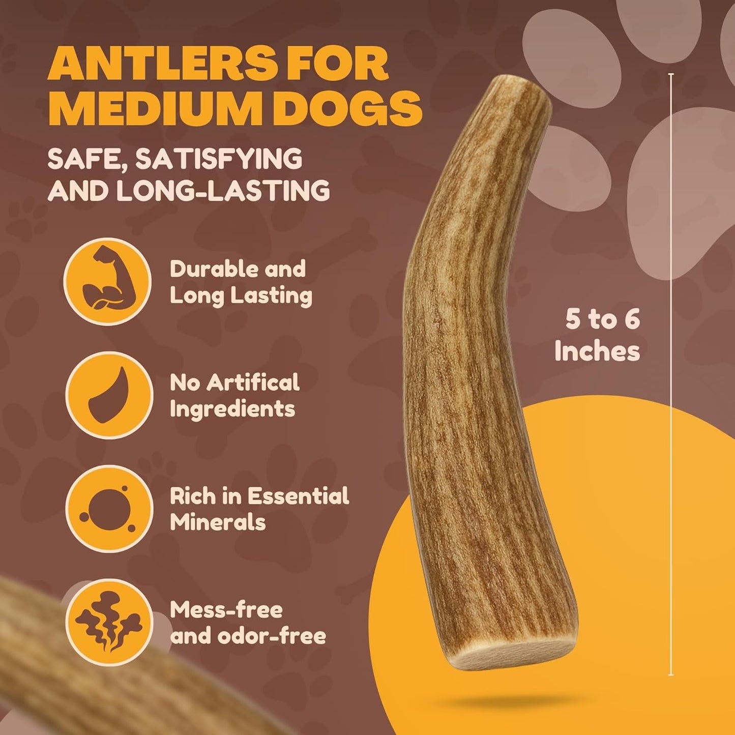 WhiteTail Naturals whole deer antlers for medium dogs close up texture