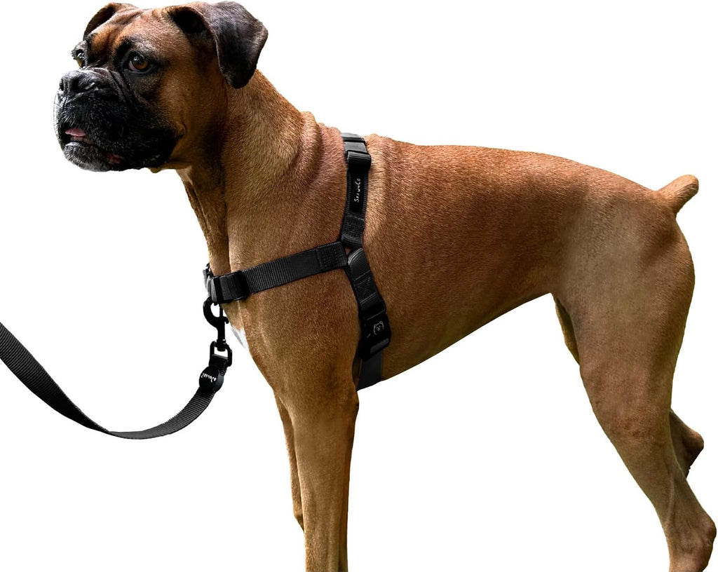 ShawnCo Dream Walk No-Pull Dog Harness- Adjustable, Comfortable, Easy to Use Pet Halter to Help Stop Pulling for Small, Medium and Large Dogs (Oceanic Blue, L) - Image 14