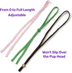 Newborn puppy and kitten safety collars in package
