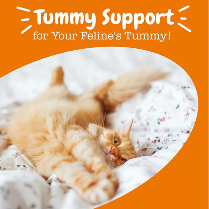 Authentic Zesty Paws cat prebiotic fiber and pumpkin flavor powder meal topper.