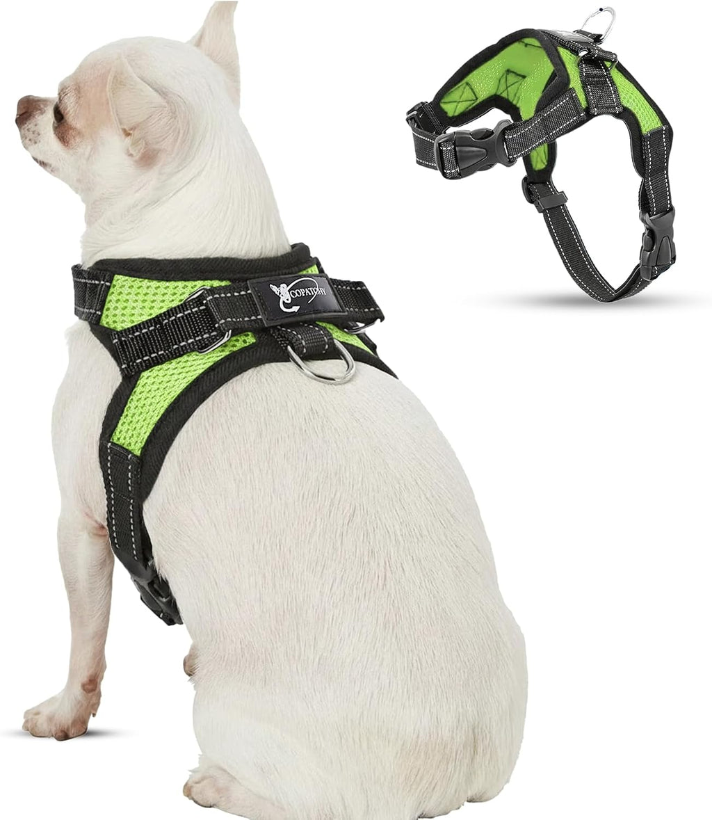 No Pull Reflective Adjustable Dog Harness with Handle- Comfortable Soft All Weather Mesh, Easy On Puppy Harness for Small Medium and Large Dogs (Red) Small - Image 9