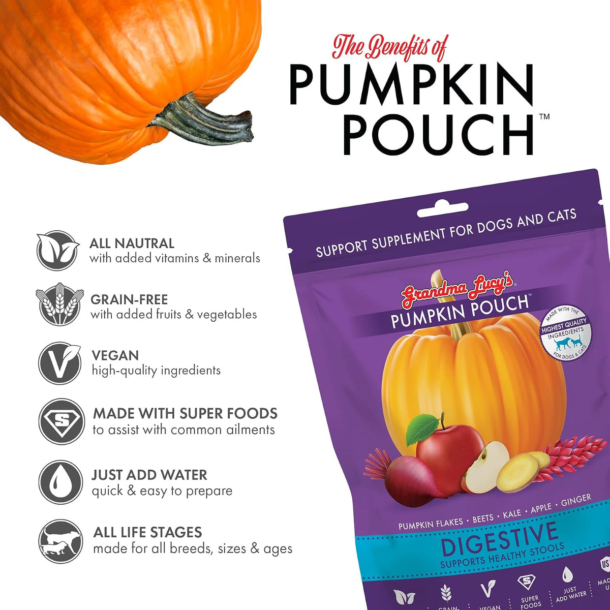 Freeze-dried pumpkin food topper for dogs and cats