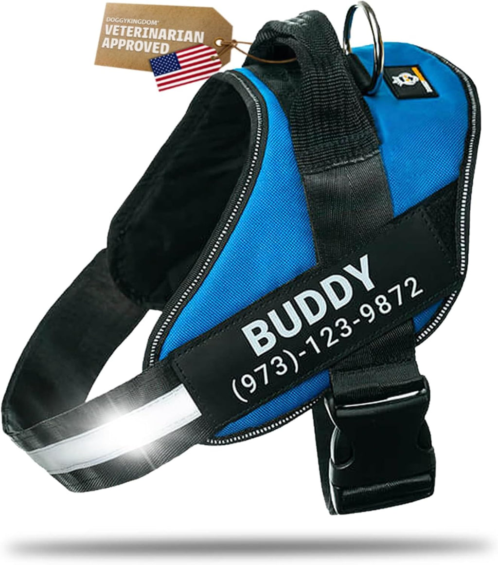 Doggykingdom Personalized No Pull Dog Harness front view on a medium dog