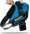 Doggykingdom Personalized No Pull Dog Harness front view on a medium dog