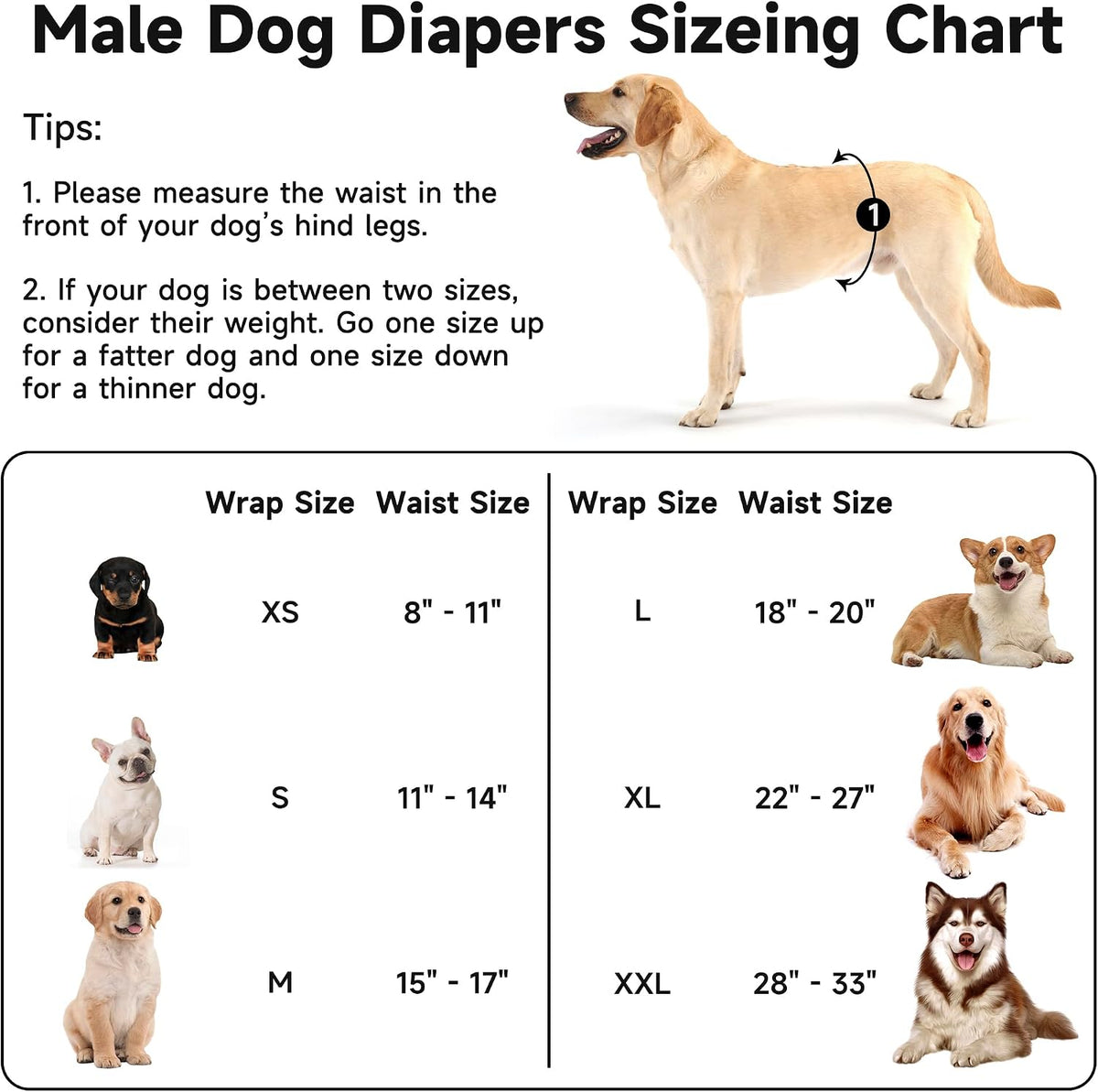 Pilviset premium dog belly bands showing adjustable hook and loop fastener closure