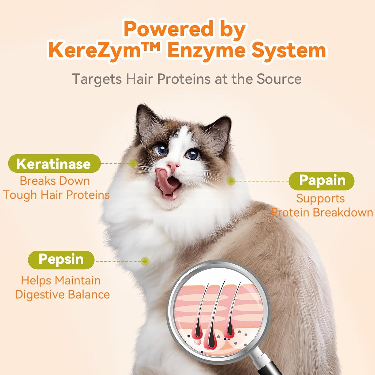 Close up of Puainta mineral oil free cat hairball remedy capsule packaging.