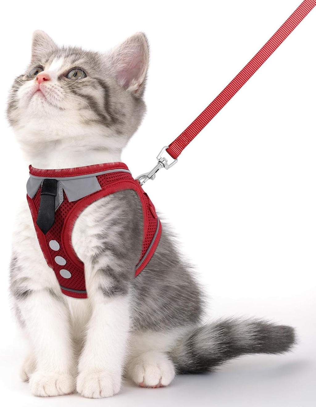 Cat Harness and Leash Set for Walking Escape Proof, Soft Adjustable Kitten Harness Breathable Mesh with Reflective Strips Harness for Kitty Puppy Bunny(Black,XS) - Image 12