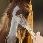 HydreachCA 23 centimeters horse hair removing rake for effective farm animal care.