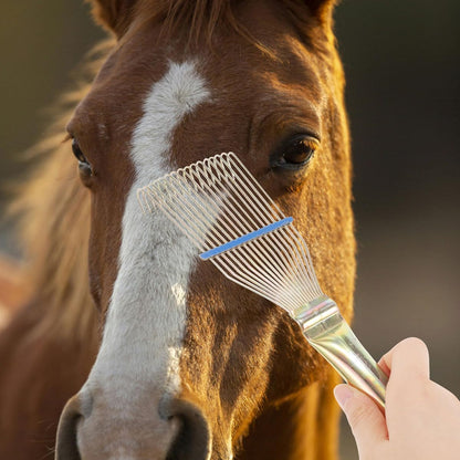 HydreachCA 23 centimeters horse hair removing rake for effective farm animal care.