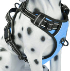 PoyPet No Pull Dog Harness, Reflective Comfortable Vest Harness with Front & Back 2 Leash Attachments and Easy Control Handle Adjustable Soft Padded Pet Vest for Small Medium Large Dogs (Mint Blue,M) - Image 15