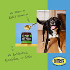 Super Snouts natural anti inflammatory powder for pet mobility care