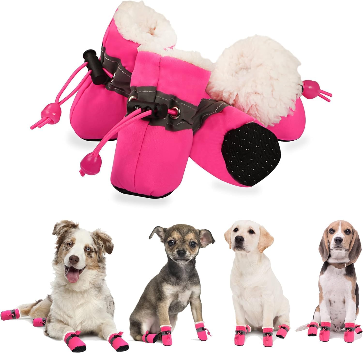 Small dog wearing Yaodhaod paw protection shoes