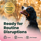 VetriScience probiotic paste for pets digestive wellness