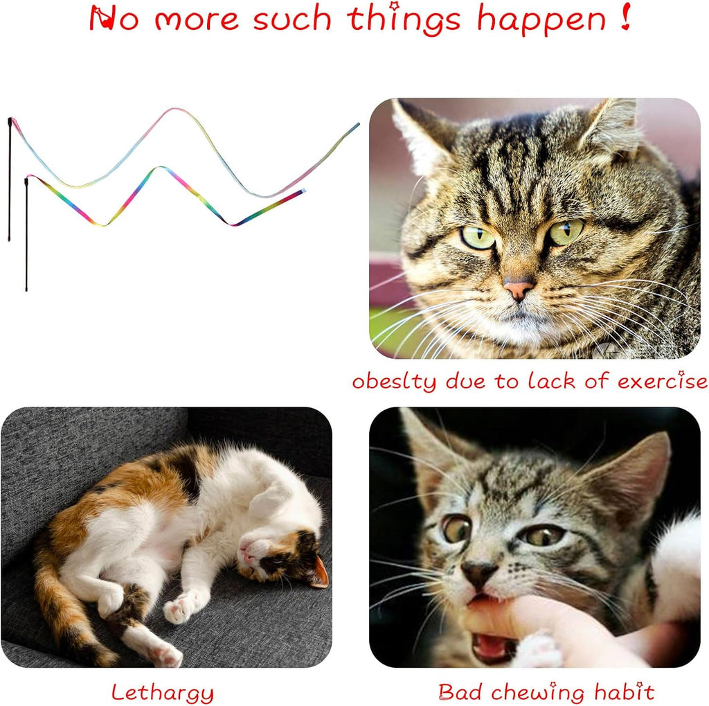 Adult cat pouncing on the long colorful string of Amaxiu interactive toy