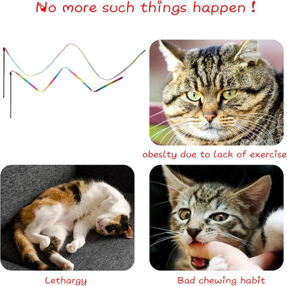 Adult cat pouncing on the long colorful string of Amaxiu interactive toy