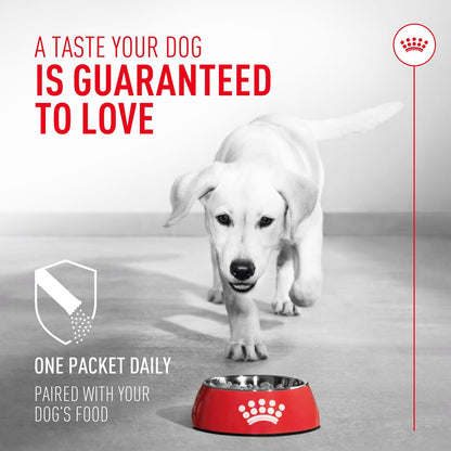 Daily veterinary formula probiotic powder for healthy canine stool quality