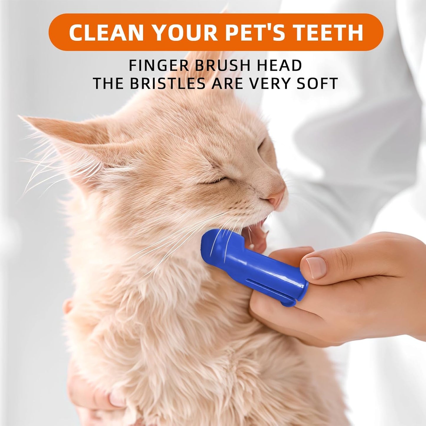 Pet owner using Histotree finger toothbrush on dog teeth