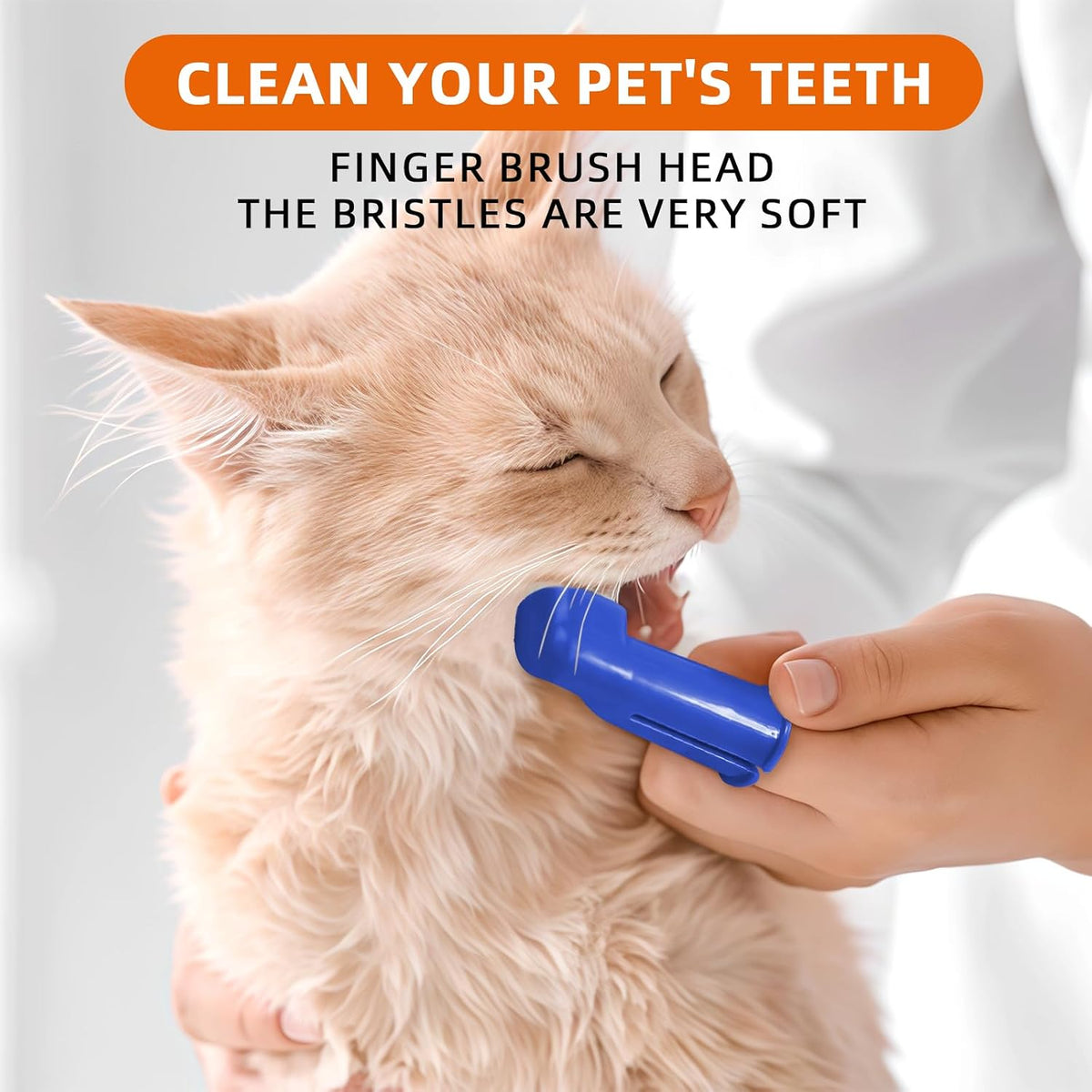 Pet owner using Histotree finger toothbrush on dog teeth