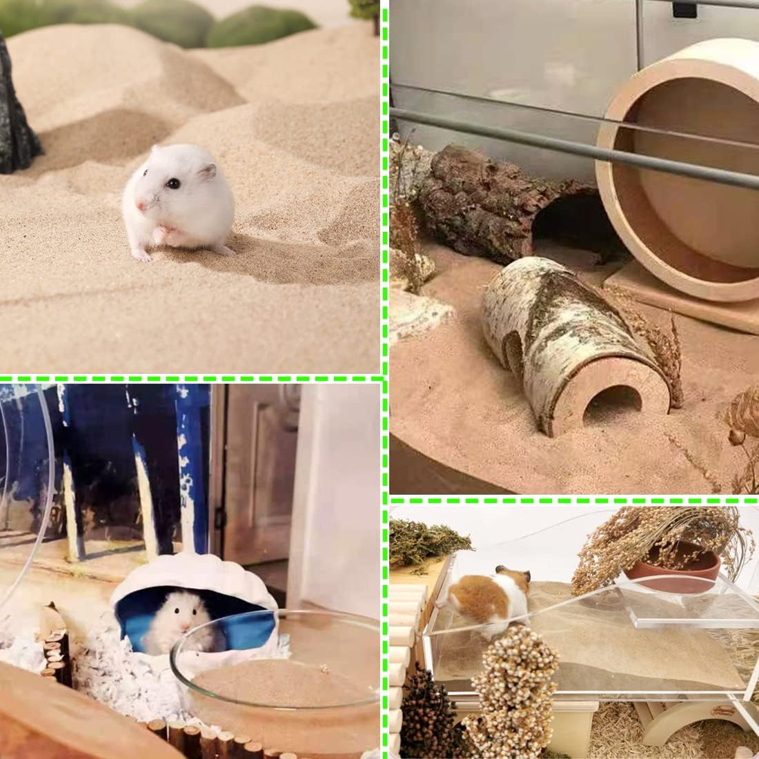 Hamster playing in Jfwod natural desert bath sand