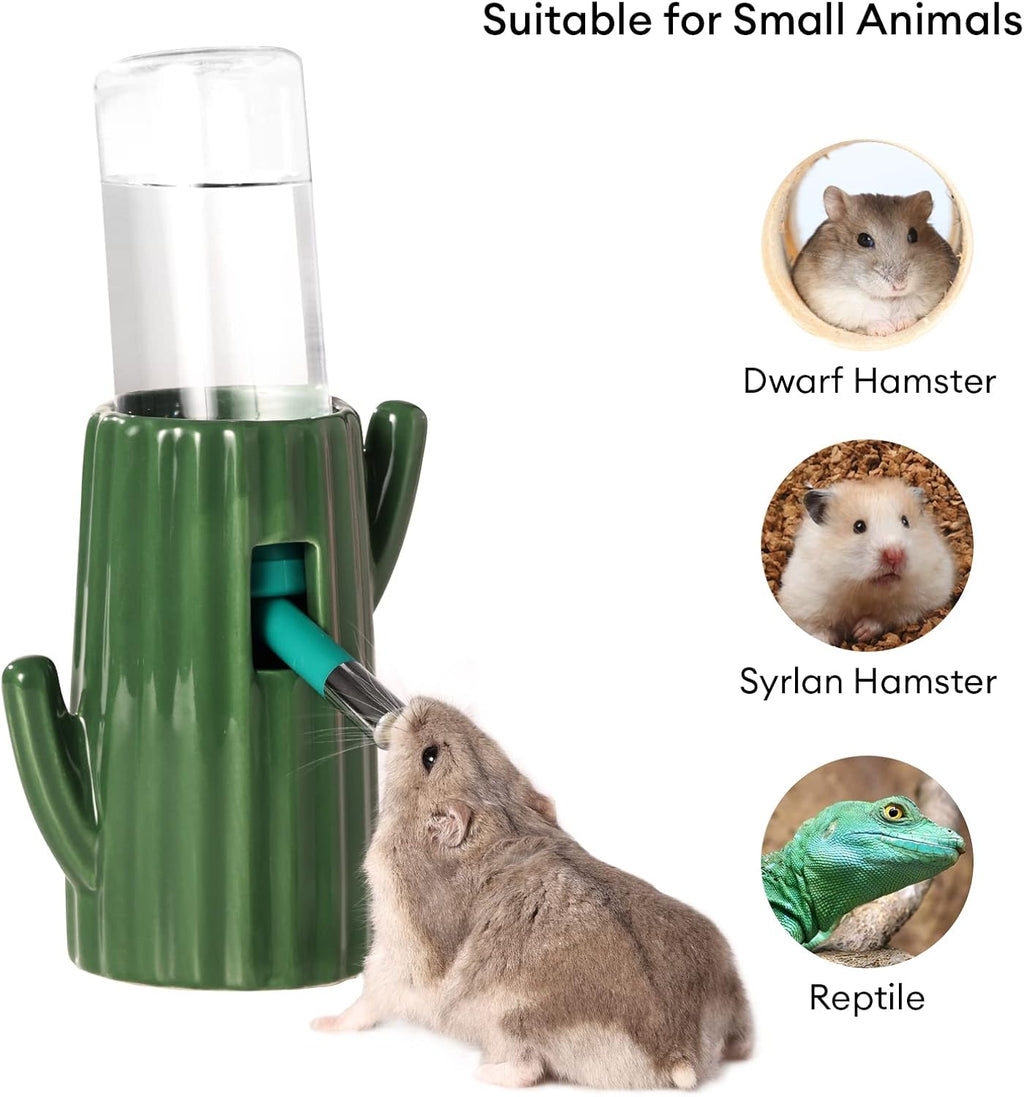 Bucatstate small pet cactus ceramic holder in green