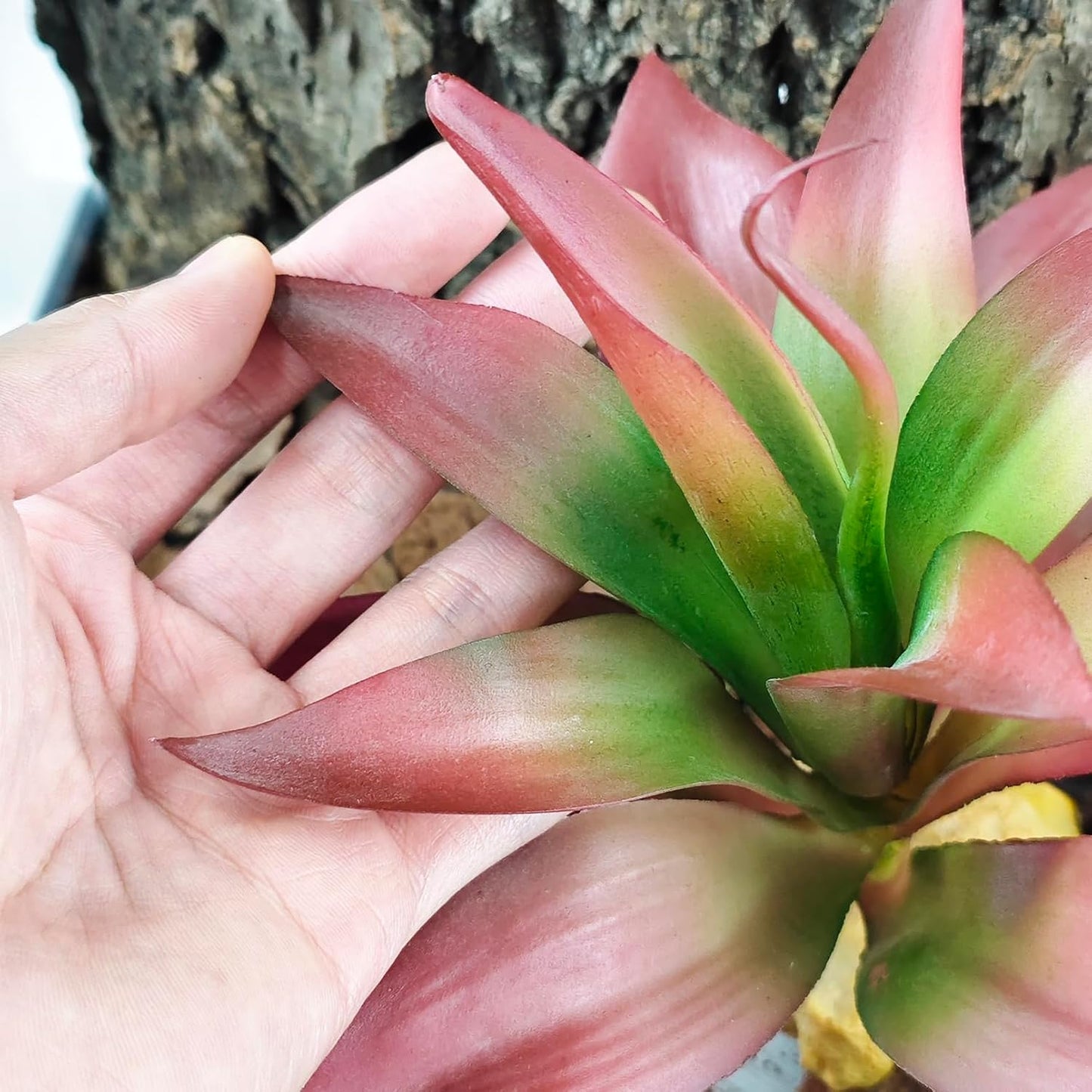 Woyrise Reptile Plants Succulent, Artificial Desert Plant for Terrarium Decor, Bearded Dragon Tank Accessories fit Gecko Lizard Chameleon Ball Python Snake - Guzmania lingulata - Image 5