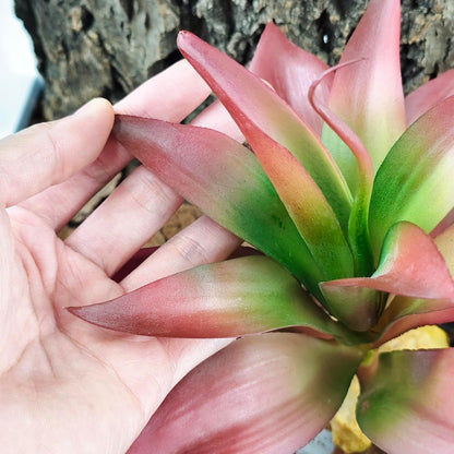 Woyrise Reptile Plants Succulent, Artificial Desert Plant for Terrarium Decor, Bearded Dragon Tank Accessories fit Gecko Lizard Chameleon Ball Python Snake - Guzmania lingulata - Image 5