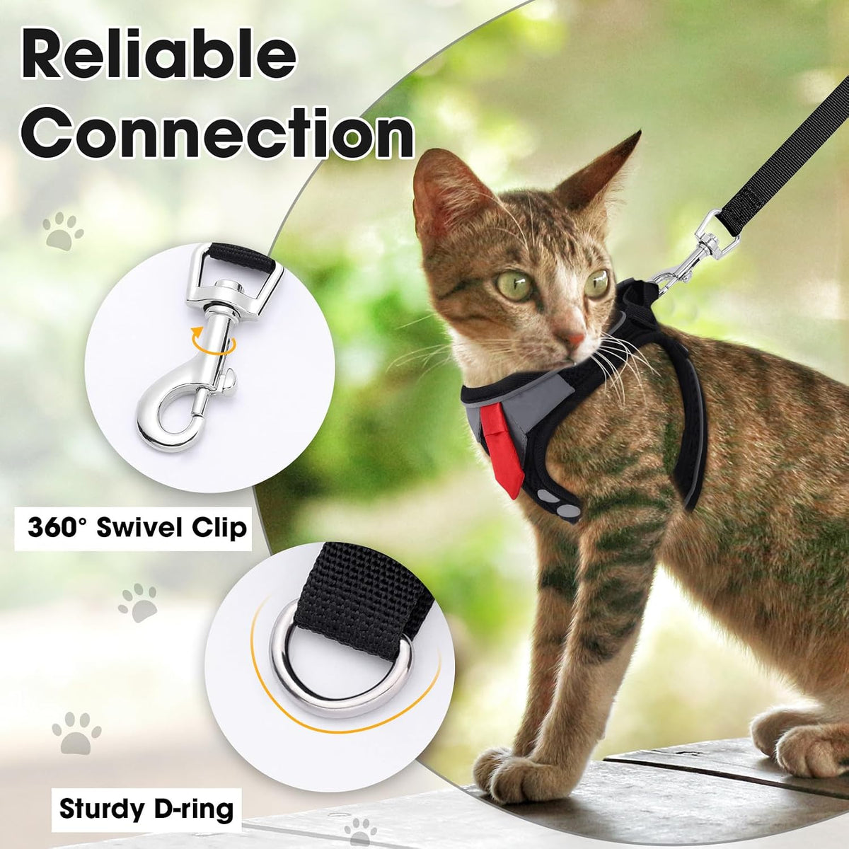 NCMAMA pet harness and leash kit being worn by a small kitten outdoors